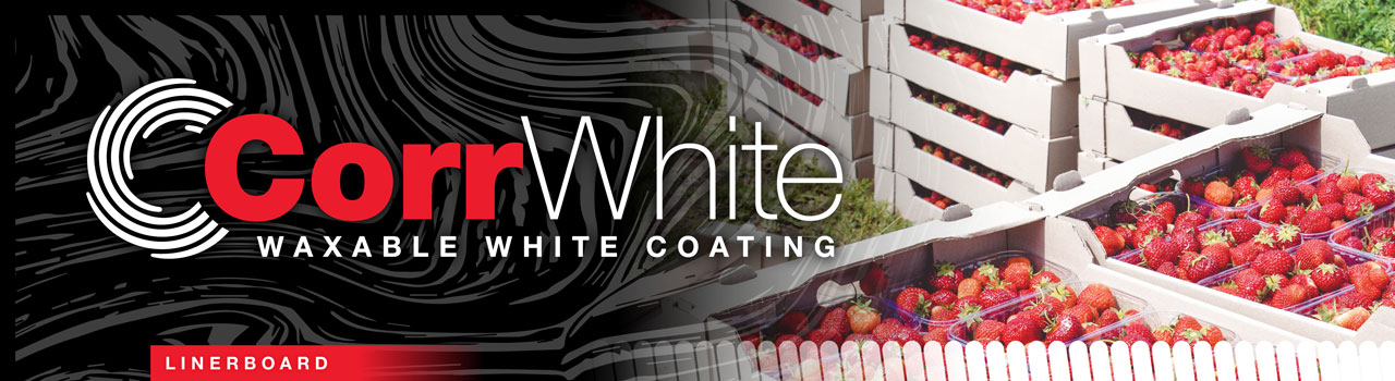 Linerboard Corr White