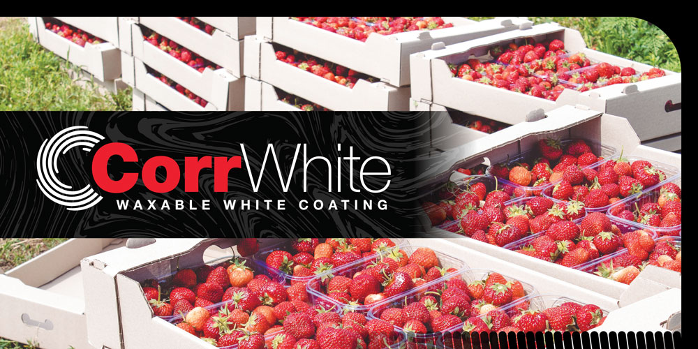 CorrPrint CorrWhite Waxable White Coating