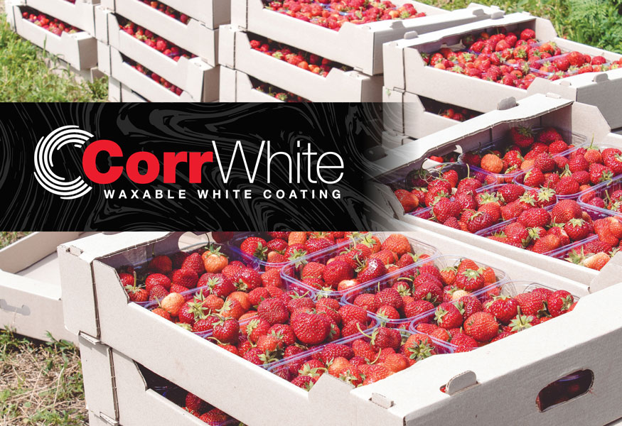 CorrWhite - Waxable White Coating